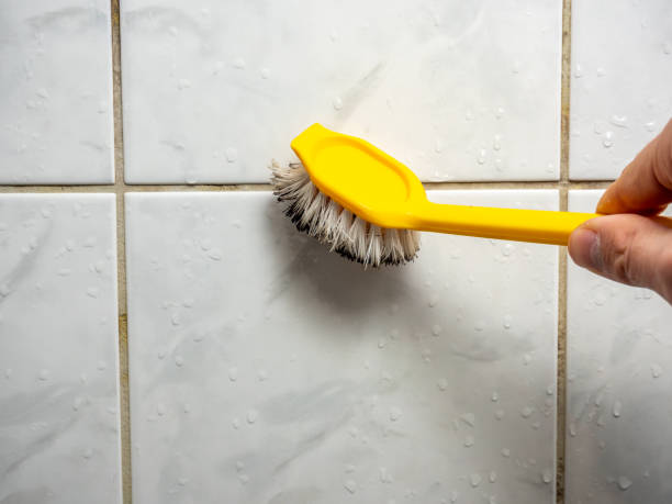 Best Home Mold Removal  in Lakeland Village, CA