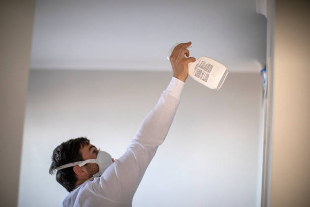 Best Emergency Mold Removal  in Lakeland Village, CA