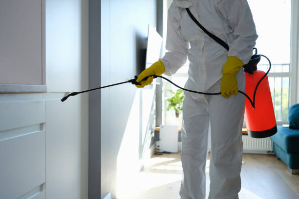 Best Office Mold Removal Services  in Lakeland Village, CA