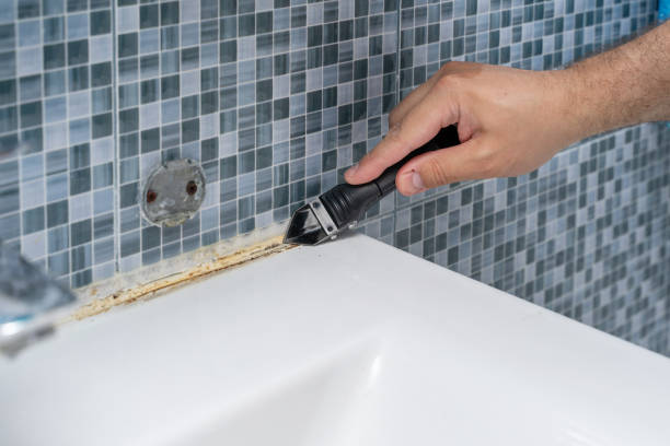 Best Attic Mold Removal  in Lakeland Village, CA
